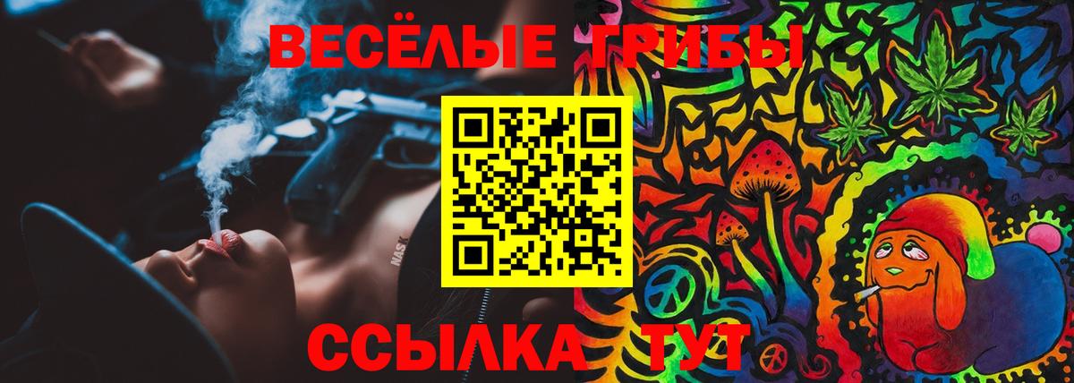 Галлюциногенные грибы мицелий Гай