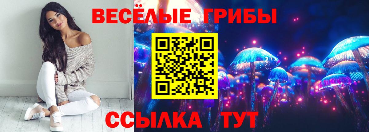Псилоцибиновые грибы ЛСД  где продают   Гай  Вход с VPN 